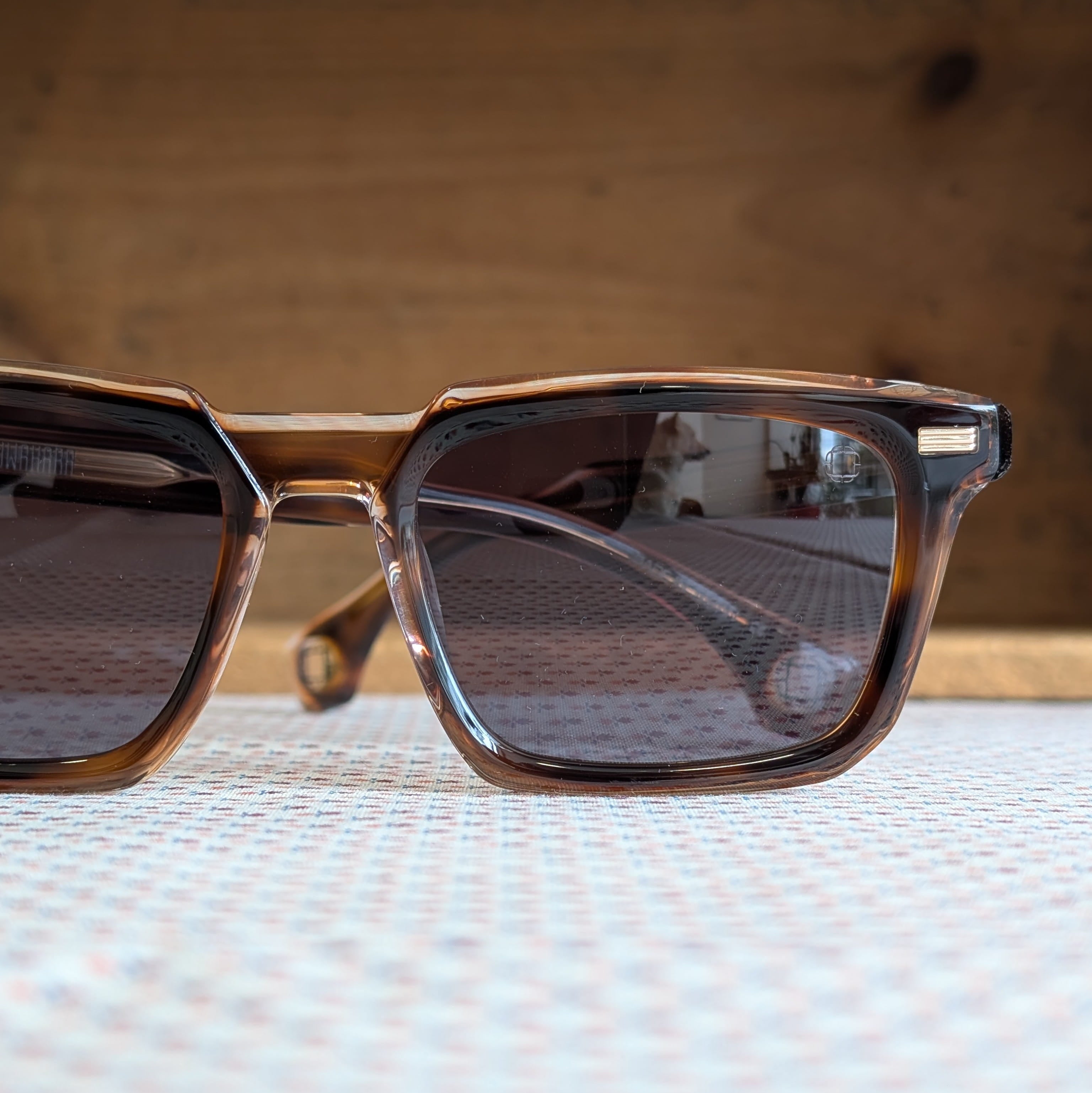 Proctor Sunglasses